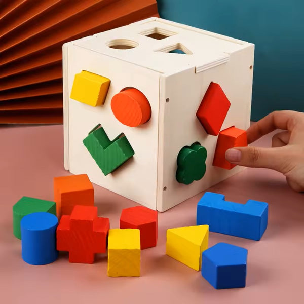 Educational Wooden Shape Sorting Box